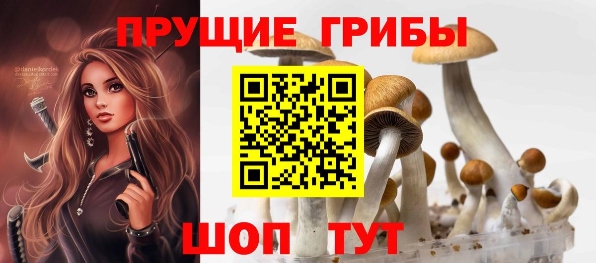 Псилоцибиновые грибы Magic Shrooms Северск