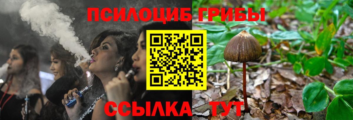 Галлюциногенные грибы GOLDEN TEACHER  Вход с VPN  Галлюциногенные грибы мицелий  Северск 