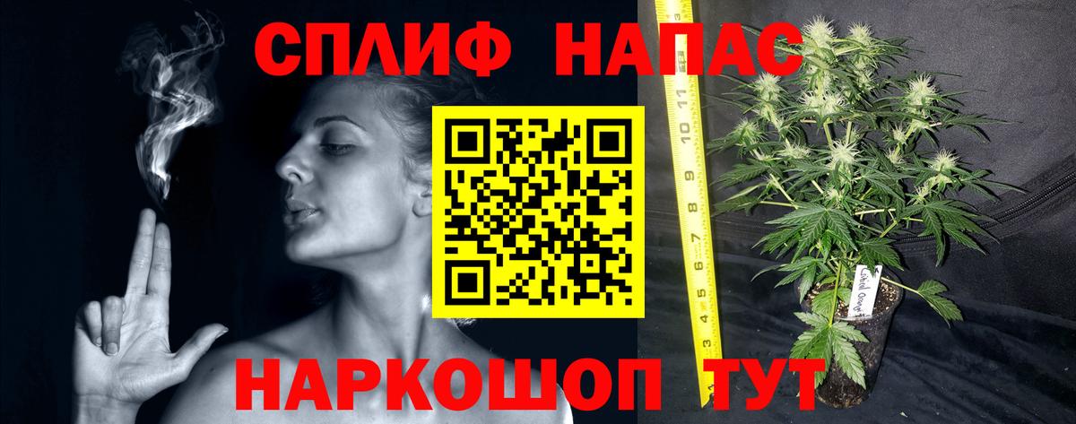 Конопля индика  Вход с VPN  Марихуана планчик  Конопля MAZAR  Северск 